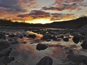 Denali National Park