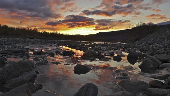 Denali National Park