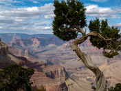 Grand Canyon National Park