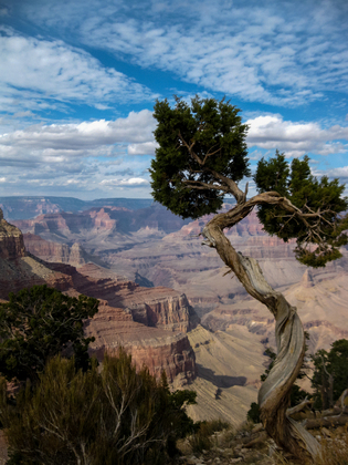 Grand Canyon National Park