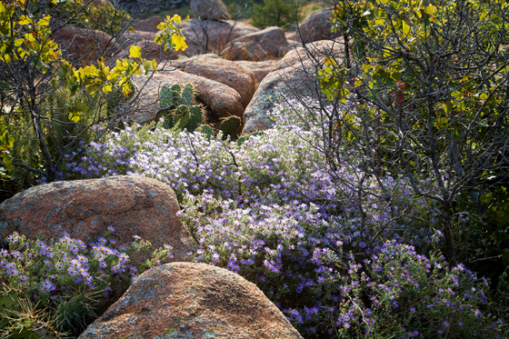 Wichita Mountains Wildlife Refuge