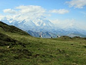 Denali National Park