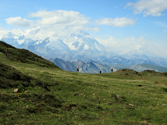 Denali National Park