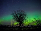 Aurora Borealis, near Slave Lake, AB
