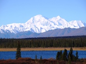 Denali National Park and Preserve