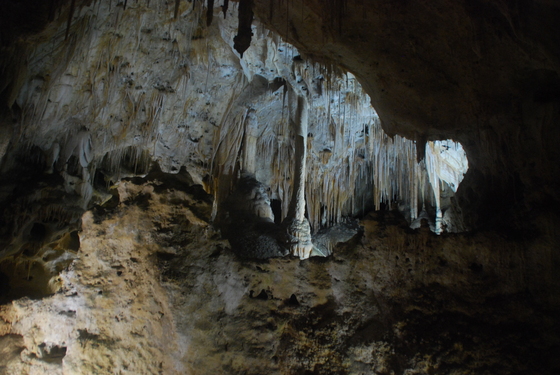 Carlsbad Caverns National Park