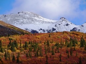 Denali Park and Preserve
