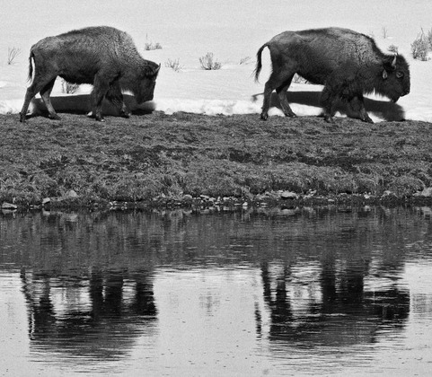 Yellowstone National Park
