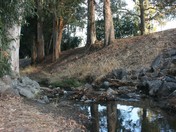 Yosemite National Park