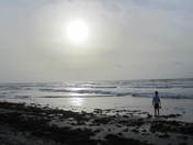 Padre Island National Seashore