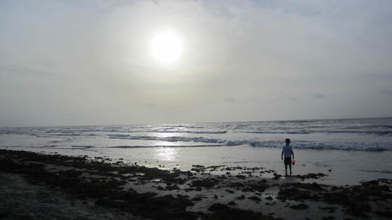Padre Island National Seashore