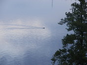 BWCA