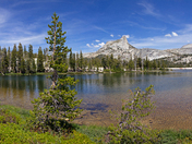 Yosemite National Park