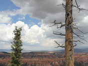 bryce Canyon