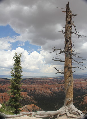bryce Canyon