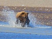 Lake Clark NP