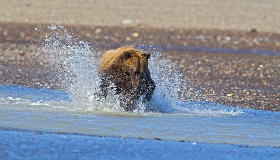 Lake Clark NP