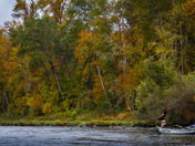 Rogue River Recreation Area