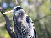 Everglades National Park