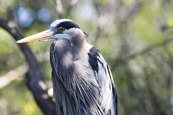 Everglades National Park