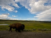 Yellowstone National Park