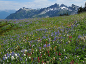 Mount Rainier NP