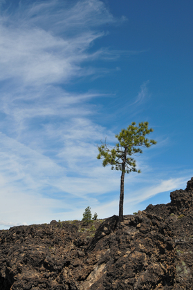 Lava Lands