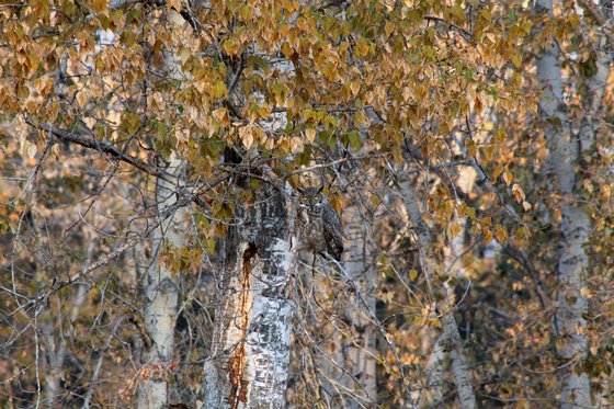 Lee Metcalf National Wildlife Refuge