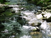 Great Smoky Mountains