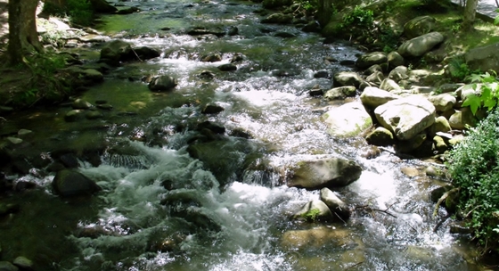 Great Smoky Mountains