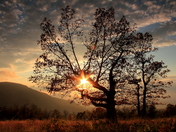 Shenandoah National Park