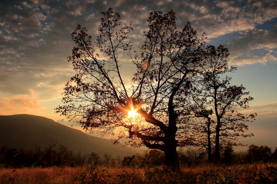 Shenandoah National Park