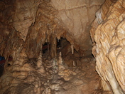 Mommoth Cave National Park