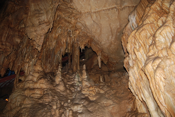 Mommoth Cave National Park