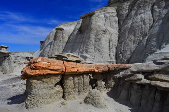 Bisti/De-Na-zin Wilderness