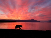 Katmai National Park & Preserve