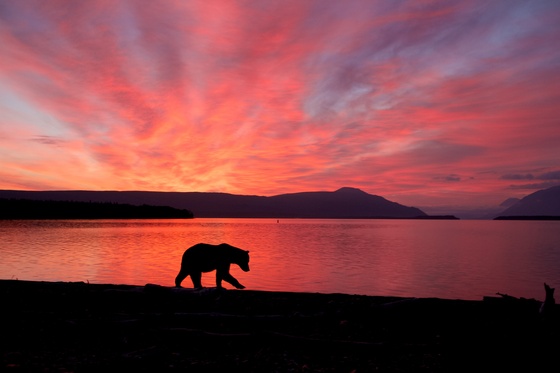 Katmai National Park & Preserve