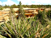Mesa Verde NP