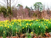 Great Smoky Mountains National Park