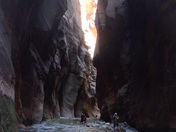 zion national park
