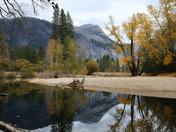 Yosemite National Park