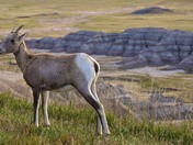 Badlands