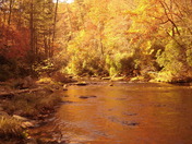 Chattooga River
