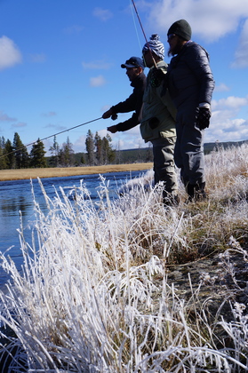 Yellowstone National Park