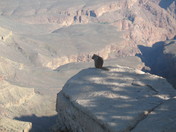 Grand Canyon National Park