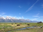 Grand Teton National Park