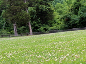 Abraham Lincoln Birthplace