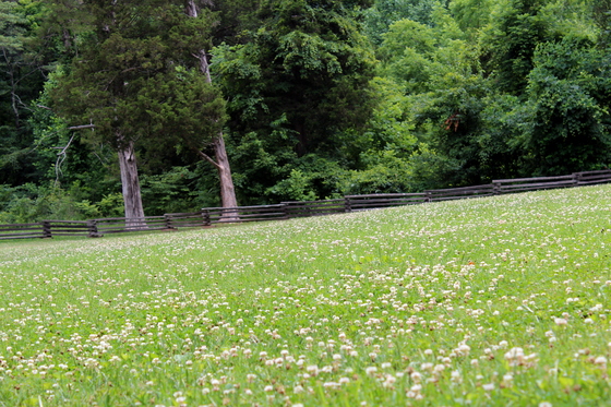 Abraham Lincoln Birthplace