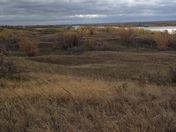 Sand Dunes with Stable vegitation
