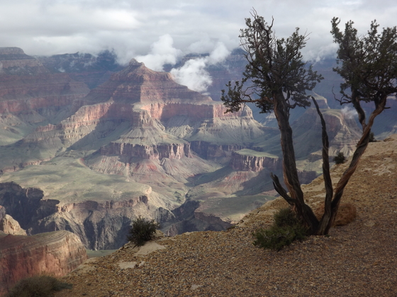 Grand Canyon National Park